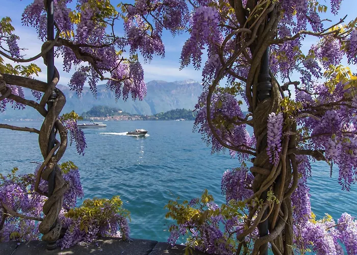 Bellavista